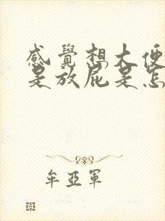 感觉想大便结果是放屁是怎么回事