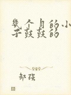 几个月的小猫肚子鼓鼓的