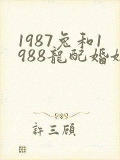1987兔和1988龙配婚姻好不好