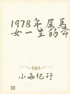 1978年属马女一生的命运怎样