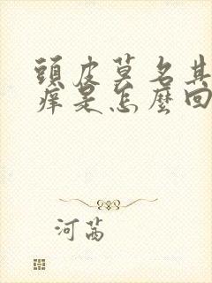 头皮莫名其妙的痒是怎么回事