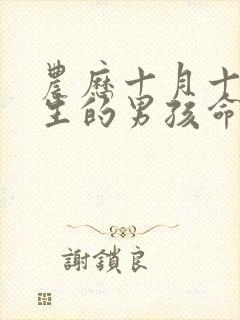 农历十月十五出生的男孩命运怎么样封面