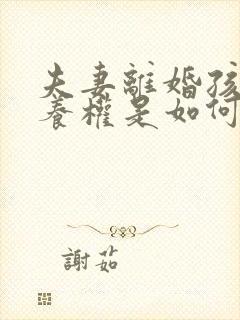 夫妻离婚孩子抚养权是如何判定的封面