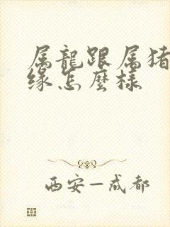 属龙跟属猪的姻缘怎么样封面