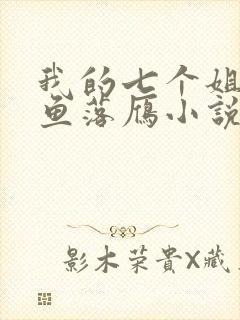 我的七个姐姐沉鱼落雁小说在线阅读封面