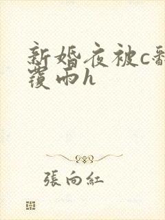 新婚夜被c翻云覆雨h封面
