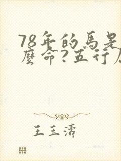 78年的马是什么命?五行属性封面