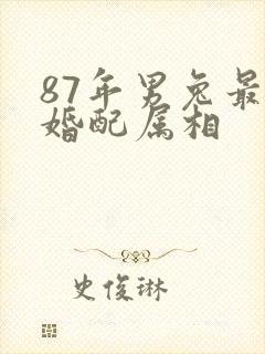 87年男兔最佳婚配属相