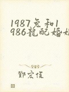 1987兔和1986龙配婚姻好不好