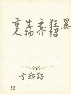 重生之狂暴火法人物介绍封面