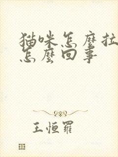 猫咪怎么拉稀了怎么回事