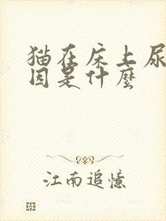 猫在床上尿的原因是什么