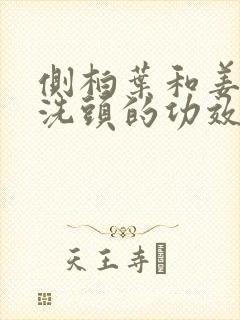 侧柏叶和姜煮水洗头的功效