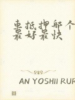 车抵押哪个平台最好最快