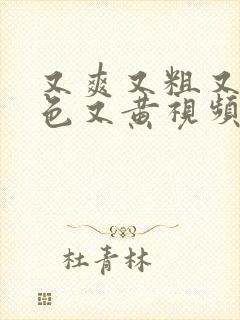 又爽又粗又猛又色又黄视频