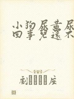 小狗尿黄尿怎么回事儿还不吃东西