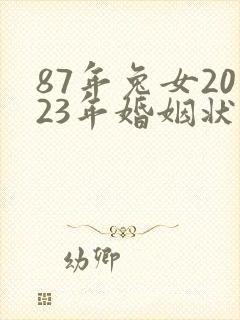 87年兔女2023年婚姻状况