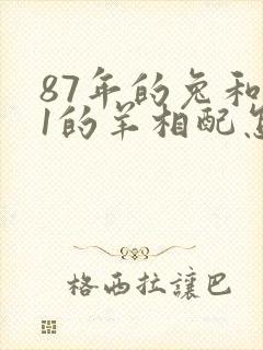 87年的兔和91的羊相配怎么样