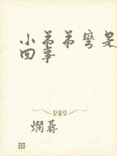 小弟弟弯是怎么回事封面