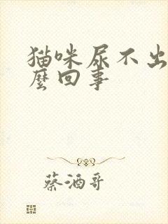 猫咪尿不出来怎么回事