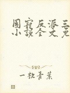 团宠反派三岁半小说全文免费阅读