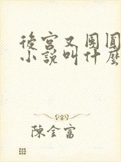 后宫又团圆原著小说叫什么名字