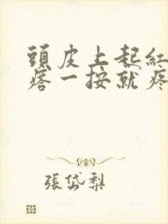 头皮上起红色疙瘩一按就疼