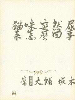 猫咪突然尿不出来怎么回事