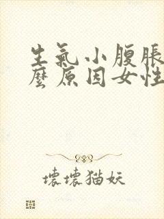 生气小腹胀痛什么原因女性怎么办封面