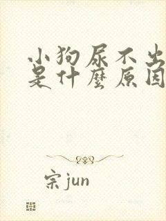 小狗尿不出来尿是什么原因封面