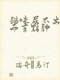 猫咪尿不出来下面有点肿封面