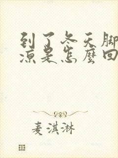 到了冬天脚就冰凉是怎么回事封面