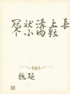 冠状沟上长了三个小肉粒