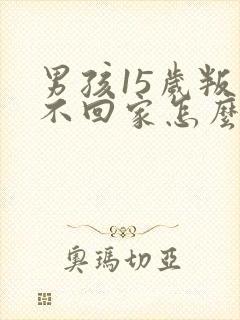 男孩15岁叛逆不回家怎么办
