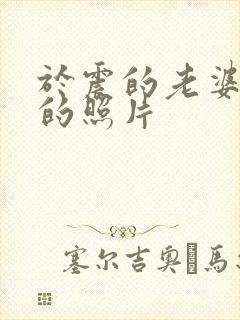 于震的老婆辛月的照片