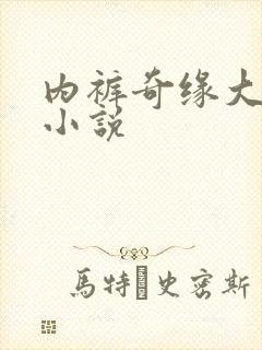 内裤奇缘大团结小说