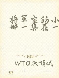 将军家的小娘子哪一集在一起