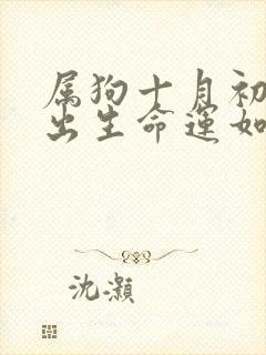 属狗十月初八女出生命运如何