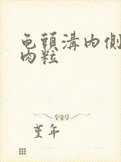 龟头沟内侧起小肉粒封面