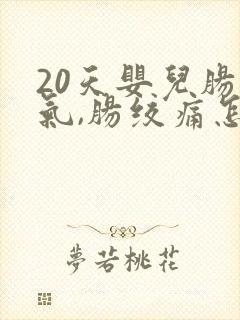 20天婴儿肠胀气,肠绞痛怎么办