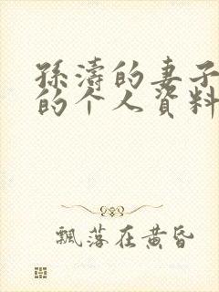 孙涛的妻子李莉的个人资料