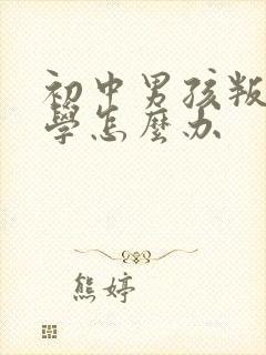 初中男孩叛逆厌学怎么办封面