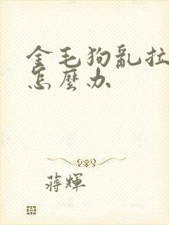 金毛狗乱拉乱尿怎么办