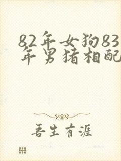 82年女狗83年男猪相配吗婚姻