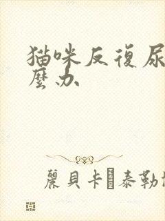 猫咪反复尿闭怎么办