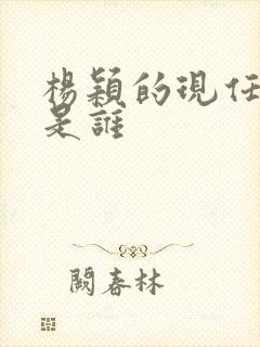 杨颖的现任丈夫是谁封面