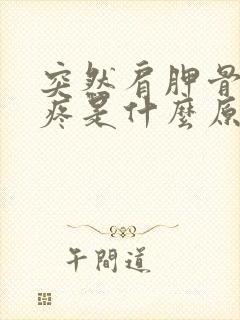 突然肩胛骨后背疼是什么原因引起的