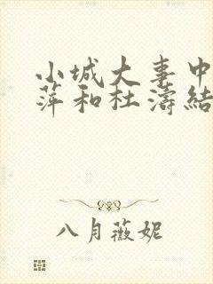 小城大事中李秋萍和杜涛结局