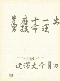 农历十一出生的男孩命运