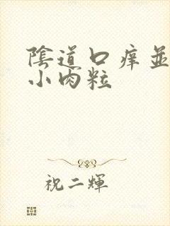 阴道口痒并且有小肉粒封面